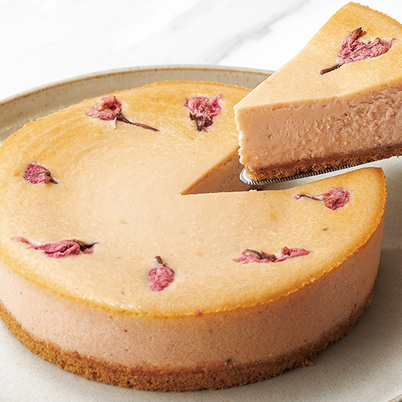 フレイバー さくらチーズケーキ 季節限定 春ギフト